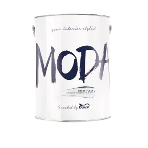 Dulux Moda  Truest Grey