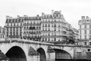 Winter Morning on The Seine